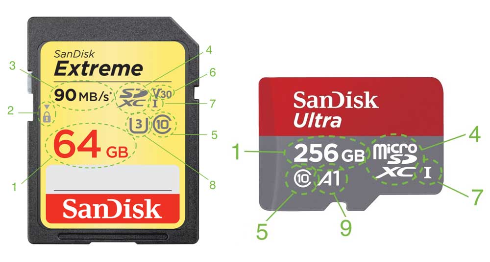 Preludio rociar Gimnasio Cómo Elegir la Tarjeta de Memoria SD o MicroSD Adecuada? | RecuperoDatos.com